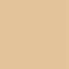 Sahara Sahara