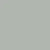 Silex brillant